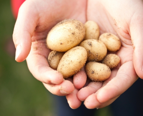 agricoltura sostenibile