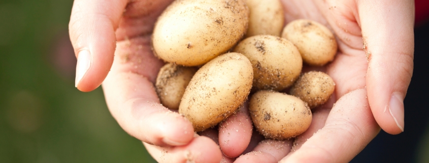 agricoltura sostenibile